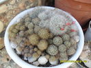 SAM_0550