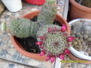 SAM_0552