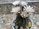 SAM_0565