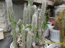 SAM_0566