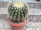 SAM_0569
