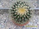 SAM_0570
