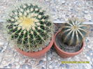 SAM_0572