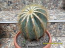 SAM_0573
