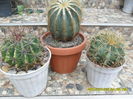 SAM_0574
