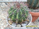 SAM_0575