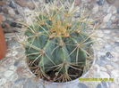 SAM_0576