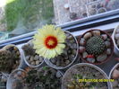 SAM_0582