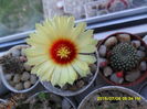 SAM_0583