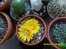 SAM_0584