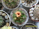 SAM_0586