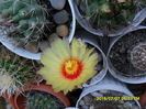SAM_0587