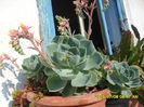 SAM_0598