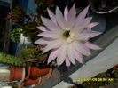 SAM_0607