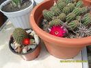 SAM_0614