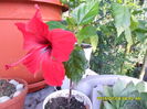 SAM_0596