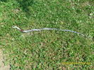 SAM_0610