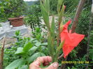 SAM_0613