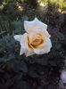 DSC01842