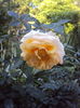 DSC01845