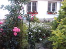 DSC00306