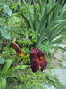 DSC00540