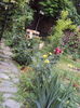 DSC00546