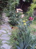 DSC00547