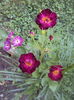 DSC00583