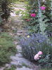 DSC00262