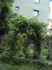 DSC00518