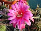 DSC08951