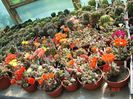 DSC09011