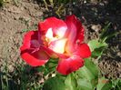 DSC09018