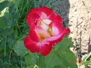 DSC09020