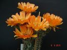 DSC09021