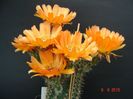 DSC09022