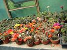 DSC09030