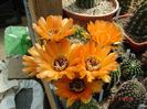 DSC09031