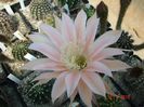 DSC09050