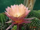 DSC09056