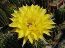 DSC09058
