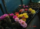DSC09069