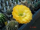 DSC09072