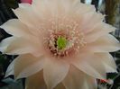DSC09085