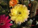 DSC09102
