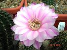DSC09139