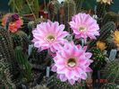 DSC09150