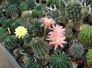 DSC09159