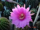 DSC09170